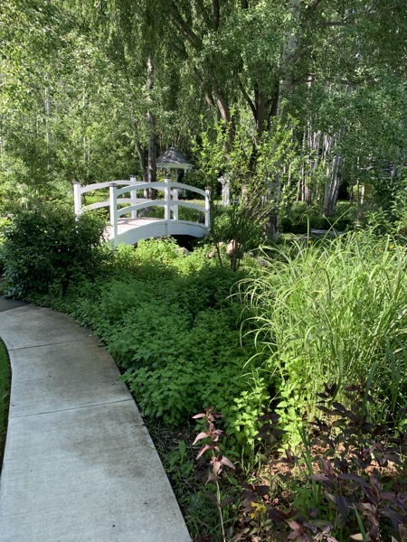 a picturesque scene from a little hotel in Ashland