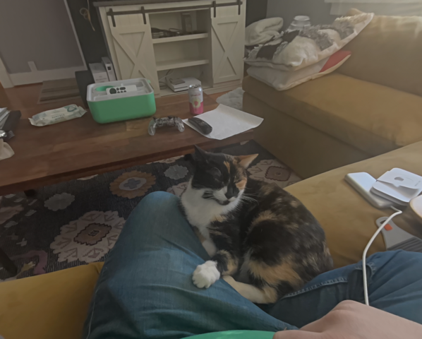 a photo of my cat, Miss Honey, on my lap as taken by my Vision Pro. If you're thinking that it's kind of a crappy photo, you're right.